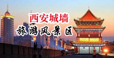 啊,,肏我,,啊,,爽,,快，，骚逼好痒，免费视频中国陕西-西安城墙旅游风景区