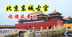免费操大逼片看看中国北京-东城古宫旅游风景区